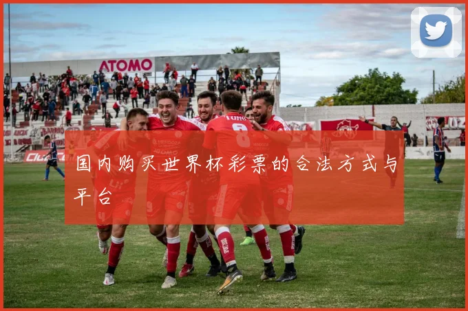 国内购买世界杯彩票的合法方式与平台