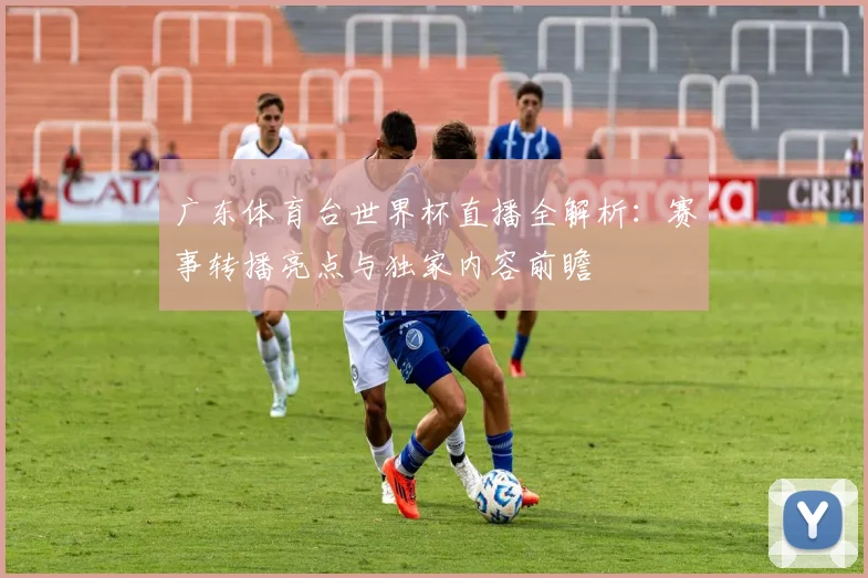 广东体育台世界杯直播全解析:赛事转播亮点与独家内容前瞻
