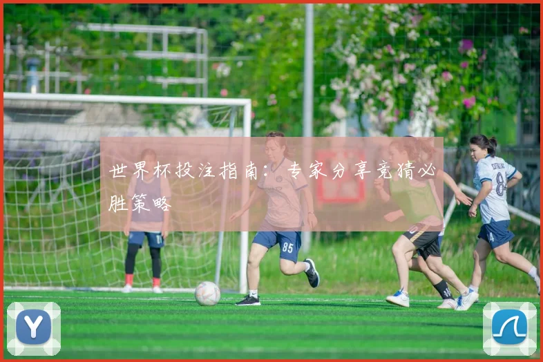 世界杯投注指南:专家分享竞猜必胜策略