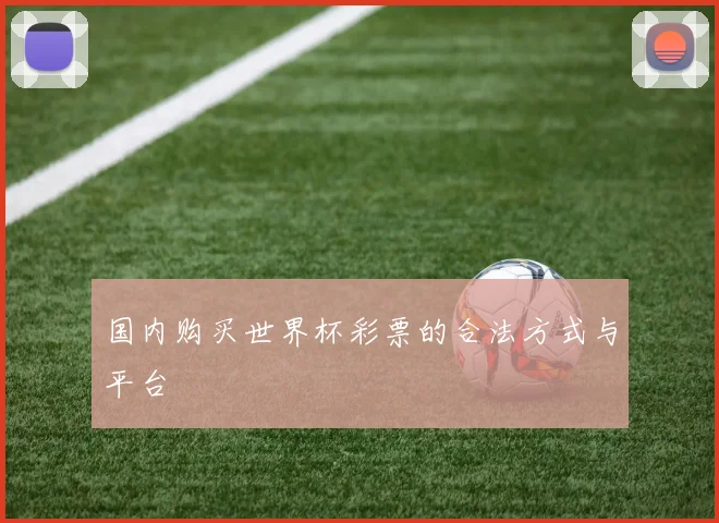 国内购买世界杯彩票的合法方式与平台