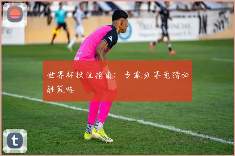 世界杯投注指南:专家分享竞猜必胜策略