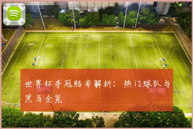世界杯夺冠赔率解析：热门球队与黑马全览